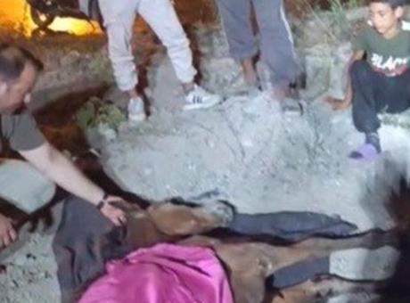 Düziçi'nde Minibüsün Çarptığı Başıboş At Tedavi Altına Alındı