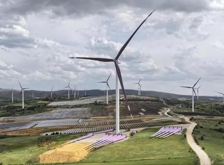 Yenilenebilir Enerji Projelerinde Tarımsal Arazi Koruma Modeli Hayata Geçiyor