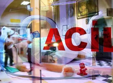 Yalova'da Elektrik Akımına Kapılan Baba ve Oğlu Hayatını Kaybetti