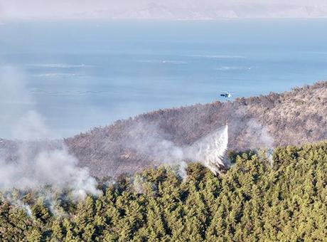 Muğla'da orman yangını: Alevler lüks villa ve otellerin bulunduğu alana yaklaştı