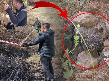 Köpeklerle adım adım arayıp buldular! Toprağın 5 ila 20 santimetre altında: 30 milyon TL'lik keşif