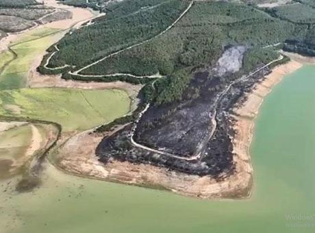 Tekirdağ'da yangında 80 dekar orman zarar gördü