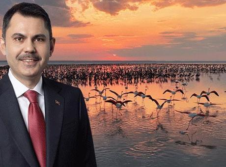 Bakan Kurum: Son 5 yılın en yüksek yavru sayısına ulaştık
