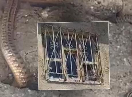 Kabus evi! Çatıdaki kuş deliklerine kadar sızdılar: Hayatımız altüst oldu