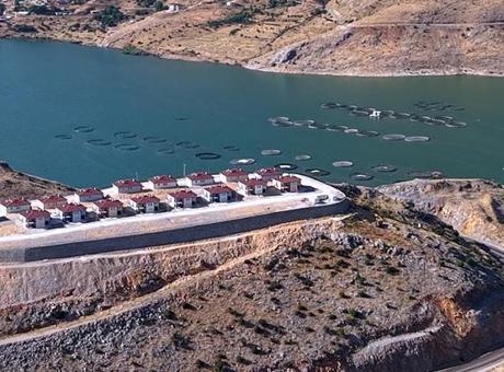 Adıyaman'daki yeni köy evleri vatandaştan tam not aldı: Devlet babalığından fazlasını yaptı