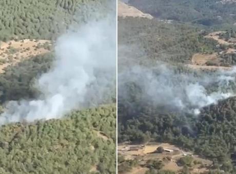 Balıkesir'de orman yangını alarmı! Havadan ve karadan müdahale başladı