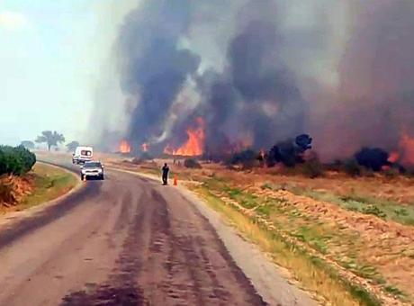 Edirne’de alevler ormana sıçradı! Havadan ve karadan müdahale sürüyor