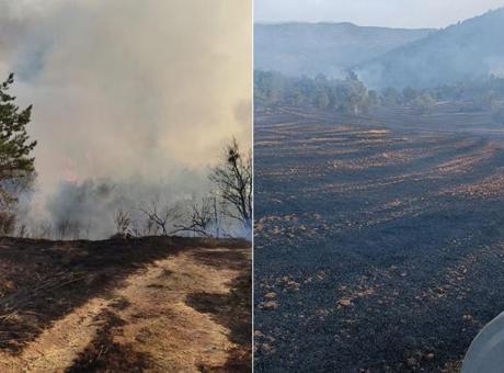 Bolu'da orman yangını! Havadan ve karadan müdahale başladı