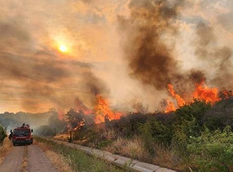 Çanakkale Valiliği'nden orman yangını alarmı! 3 gün süreyle yasaklandı