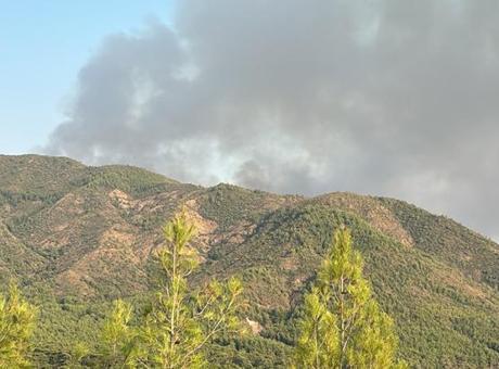 Manisa ve Marmaris'te orman yangını! Ekipler seferber oldu: Havadan ve karadan müdahale ediliyor