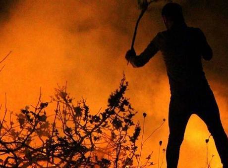 Orman yangınlarında 43 şüpheli tespit edildi: 11 kişi tutuklandı