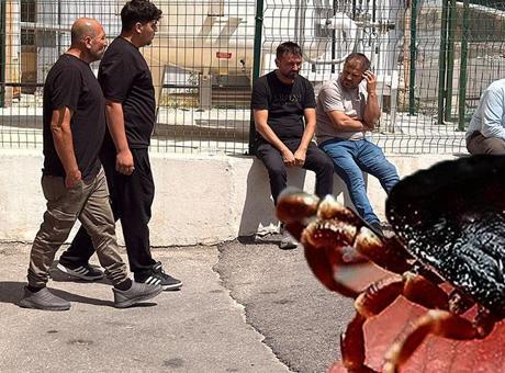 Bir ailenin kabusu oldu! Aynı aileden ikinci can kaybı