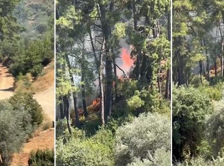 Muğla Fethiye'de orman yangını çıktı