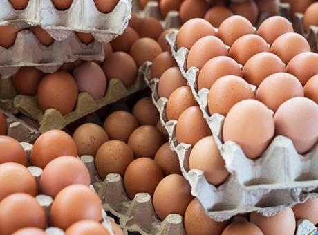 SON DAKİKA HABERLER: 306 kişi hastanelik oldu! Yumurtalarda korkutan alarm: 'Tehlike sanılandan büyük, 8 ülkeye ulaştı'