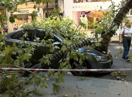 Nişantaşı’nda çınar ağacı taksinin üzerine devrildi! Teşvikiye Caddesi trafiğe kapandı