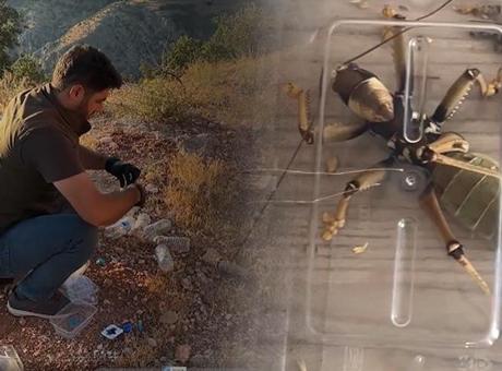 Nemrut'taki çekirgelerin peşindeki 2 yabancıyla ilgili dikkat çeken senaryo: Çok kötü bir şey bu