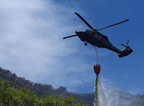 Kolombiya'da orman yangınları nedeniyle 'kamusal acil durum' ilan edildi