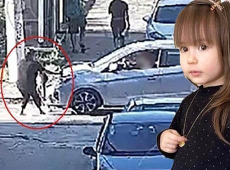 Minik Elif Mavi’nin ölümünde yeni gelişme! Sürücü yeniden gözaltında