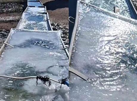 Dondurucu soğuklar bastırdı! Kent buzla kaplandı