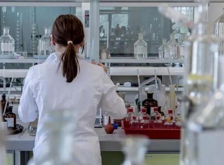 H5N1’de dikkat çeken gelişme! Avustralya’da ilk kez bir deniz aslanında tespit edildi