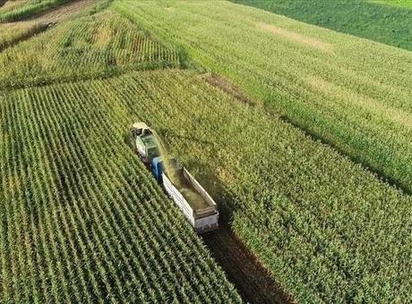 2026 Yılı Kırsal Kalkınma Yatırım Programı başvuru sonuçları açıklandı! Bakan Yumaklı açıkladı: Binlerce projeye hibe