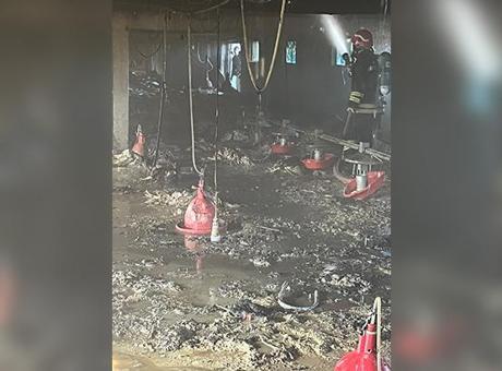 Bolu Mudurnu'da kümeste yangın! Yüzlercesi telef oldu